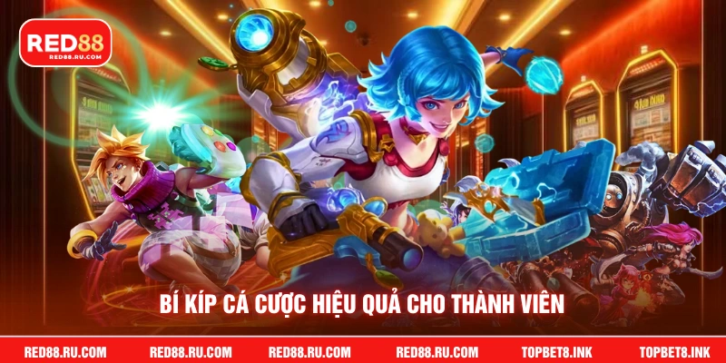 Bí kíp cá cược hiệu quả cho thành viên