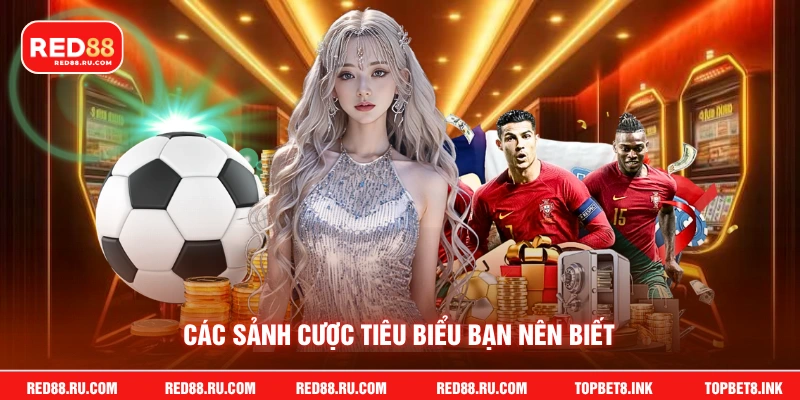 Các sảnh cược tiêu biểu bạn nên biết