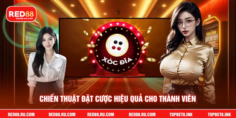 Chiến thuật đặt cược hiệu quả cho thành viên
