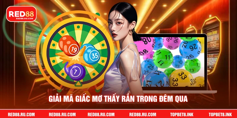 Giải mã giấc mơ thấy rắn trong đêm qua