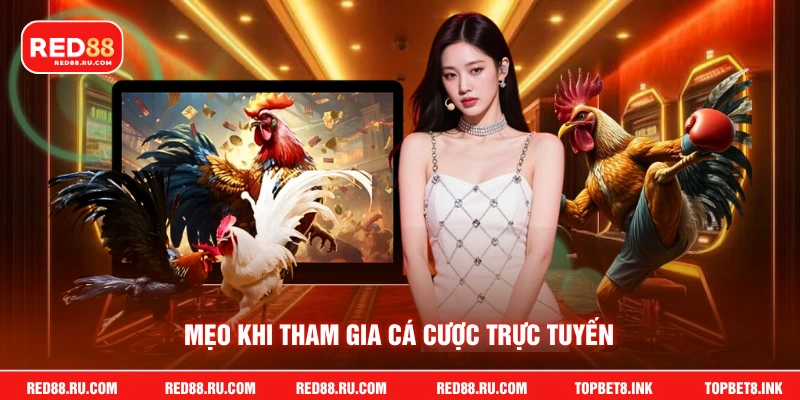 Mẹo khi tham gia cá cược trực tuyến