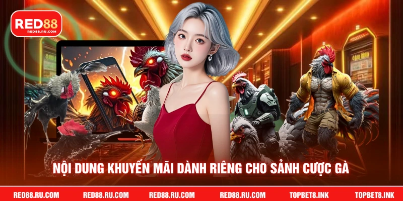 Nội dung khuyến mãi dành riêng cho sảnh cược gà